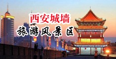抽插黄视频中国陕西-西安城墙旅游风景区