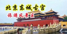 美女自抠出浆网址中国北京-东城古宫旅游风景区